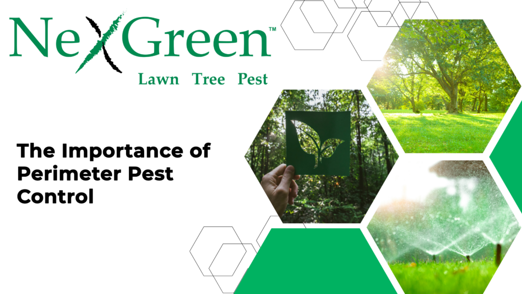 The Importance of Perimeter Pest Control