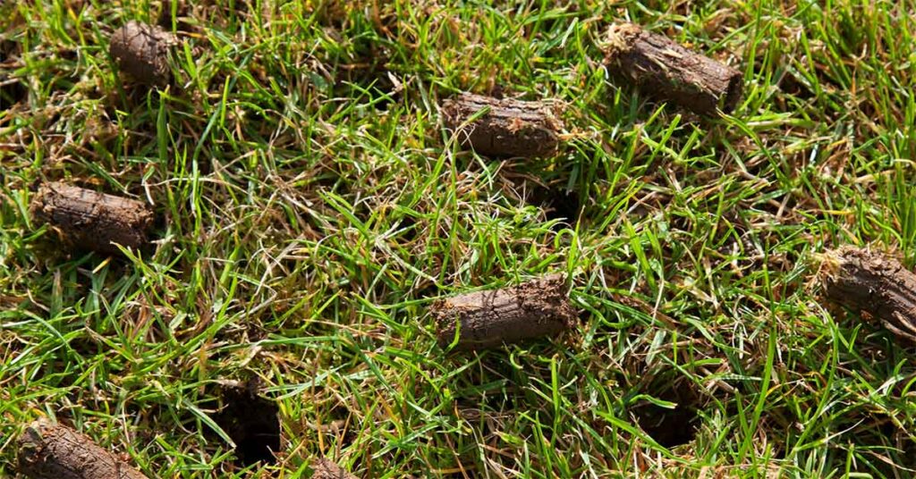 aeration